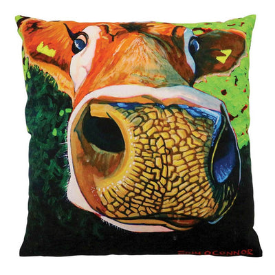 Tipperary Crystal Eoin O Connor Reach For The Stars 45cm Cushion - R. Mc Cullagh Jewellers