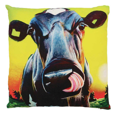Tipperary Crystal Eoin O Connor Sunshine Girl 45cm Cushion - R. Mc Cullagh Jewellers